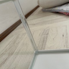 爬虫類ケージの画像