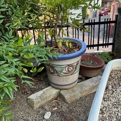 壺　鉢　植木鉢　の画像