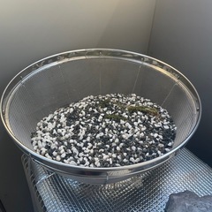 水槽　砂利もお付けしますの画像