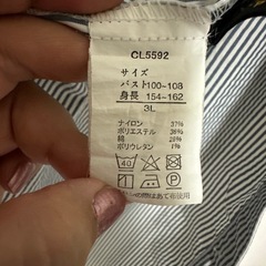 3L　ストライプシャツの画像