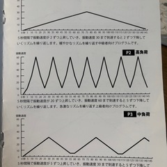 RAJA FIT Slimmer 振動マシンの画像