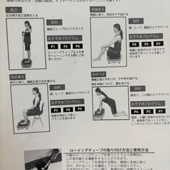 RAJA FIT Slimmer 振動マシンの画像