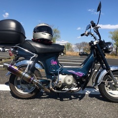 シャリーCF50の画像
