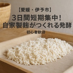 【愛媛・伊予市】3日間短期集中！自家製麹がつくれる発酵講座（初心...