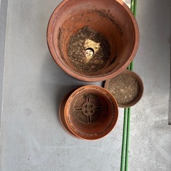 植木鉢の画像