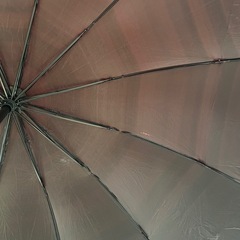 ☂️折り畳み傘　の画像