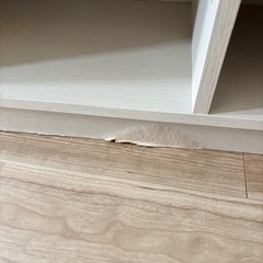 【50円】棚(ホワイト)の画像