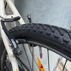 ルイガノ LGS-XC Bart MTBの画像