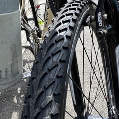 ルイガノ LGS-XC Bart MTBの画像