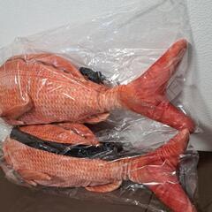 鯛の画像
