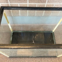 ジャンク　水槽の画像