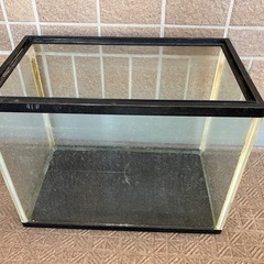 ジャンク　水槽の画像