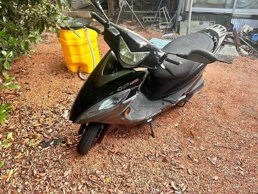 今週限定‼️キムコgp125‼️