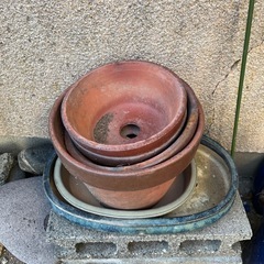 植木鉢の画像