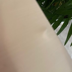 ディスク　机　ホワイトの画像