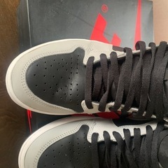 Nike Air Jordan 1 High OG Shadow2.0
の画像