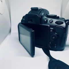 デジタル一眼レフ　NikonD5100　の画像