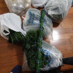 クリスマスツリーの画像