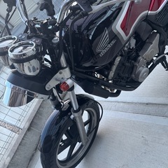 JADE250の画像