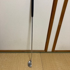 オデッセイパターの画像