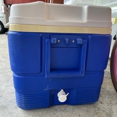 【イグルー】【クーラーボックス】【約50L】クリーニング済み【管理番号13107】町の画像