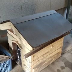 犬小屋の画像