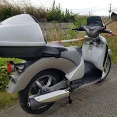 動画有　アプリリア　スカラベオ250 　実働　通勤・通学に♪　現車確認大歓迎！　さいたま市桜区発の画像