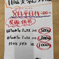 笑ちゃんメダカ笑売価格の画像