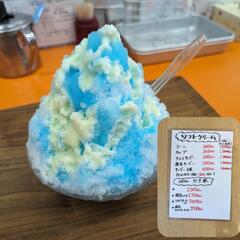 笑ちゃんメダカ笑売価格の画像