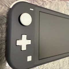 Nintendo Switch Lite グレーの画像