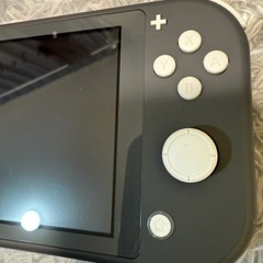 Nintendo Switch Lite グレーの画像