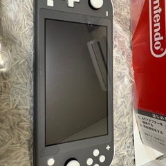 Nintendo Switch Lite グレーの画像