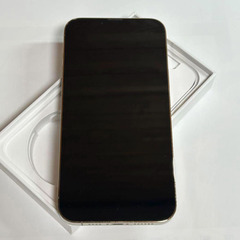 美品】iPhone 13 pro max｜256gb バッテリー85% (みかん) 秋葉原