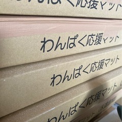 アトピッコハウス　10ケースセット　わんぱく応援マット 床遮音材）0.5坪入の画像