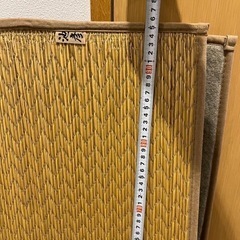 池彦　ゴザの画像