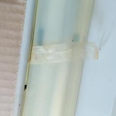 キッチン用　蛍光灯の画像