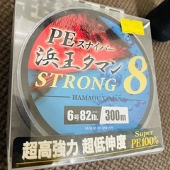 打ち込み竿
の画像