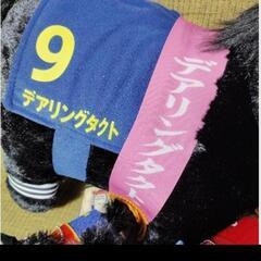 サラブレッドコレクションぬいぐるみセットの画像