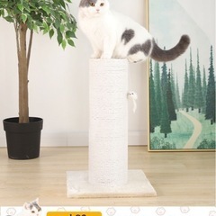 爪とぎ 猫 キャットタワー 極太 木製 ポール 直径20cm 組立簡単 麻 綿 据え置き 高さ61.5cm 爪研ぎ 天然サイザル麻 ストレス解消の画像