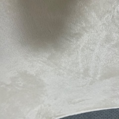 カーペット　中古の画像