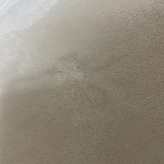 カーペット　中古の画像