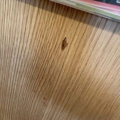 食器棚 の画像