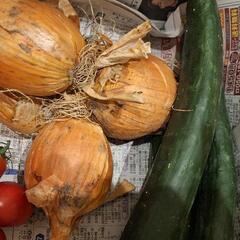 熟した美味しいトマトと他色々野菜の画像