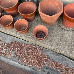 （交渉済）ぜーんぶ差し上げます！大きい植木鉢12点！中古品です！ の画像