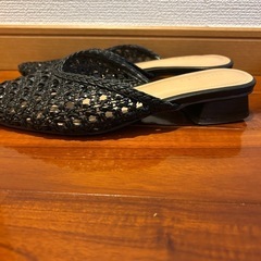 LEPSIMの画像