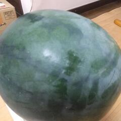 大玉スイカ10.9キロの画像