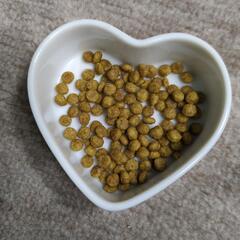Dr's Care plus 猫用療法食 250gの画像