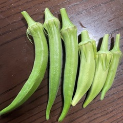 とりたて野菜の画像