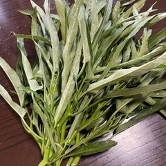 とりたて野菜の画像
