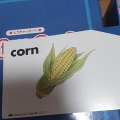 ピクチャーカード 中央出版わけありの画像